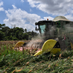 Brasil exportará más maíz por la guerra de Ucrania, pero teme por fertilizantes