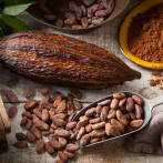 El cacao, de materia prima a agente de conservación forestal en Ecuador