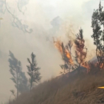 Bomberos logran sofocar incendio forestal en Constanza