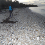 Fuerte oleaje expulsa piedras a orillas de playa en Pedernales