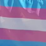 Comunidad trans de Cuba quiere su propia ley