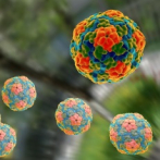 EEUU investiga muerte de cinco niños por hepatitis