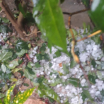 Advierten a los dominicanos sobre temporada convectiva que favorece los rayos, truenos y granizos