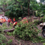 Ventarrón derriba árboles y provoca daños a vehículos y propiedades en Puerto Plata