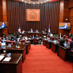 Comisión del Senado se declara satisfecha con Gloria Reyes y no favorecerá su interpelación