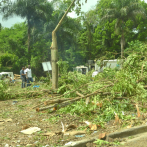 Autoridades del Distrito Municipal de Palmarejo justifica tala de árboles en el kilómetro 17 de la autopista Duarte