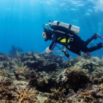 Red Arrecifal Dominicana: un ente que aglutina y coordina esfuerzos en pro de los arrecifes de coral