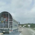 Video: Repatrian en cinco camiones haitianos apresados en Ciudad Juan Bosch