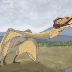 Conoce al 'Dragón de la muerte', el mayor reptil volador de Sudamérica