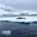 La probabilidad de olas de calor en el Antártico se multiplicó por diez