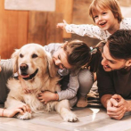 Crecer en una familia numerosa con perro puede reducir el riesgo de enfermedad inflamatoria intestinal, según un estudio