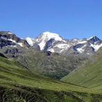 El cambio climático está haciendo más verdes los Alpes