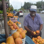 Esperan exportación de mangos banilejos por US$40 MM