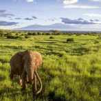 Un 44 por ciento de la tierra necesita protección de biodiversidad