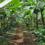 Fundación Loma Quita Espuela y Hacienda Ambrosia firman convenio para proteger la reserva científica dominicana