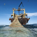 El futuro de los océanos dependerá de la prohibición de subsidios para la sobrepesca