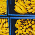 Decomisan en República Checa 800 kilos de cocaína en cajas de plátanos