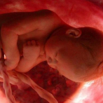 El sexo de los embriones no afecta al éxito en reproducción asistida