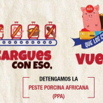 “Los cerdos no vuelan”, la embajada de EE.UU. activa campaña para detener la peste porcina