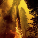 Estados Unidos enfrenta calor extremo y un incendio forestal que crece en California