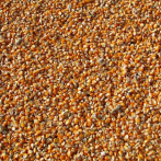 Ucrania espera reanudar exportaciones de grano 