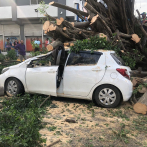 Dos mujeres atrapadas en vehículo tras ser aplastado por un árbol