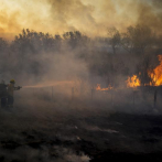 Fuego arrasa con 100,000 hectáreas de humedal en Argentina