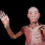 Exposición “Bodies: cuerpos humanos reales” llega a Santo Domingo