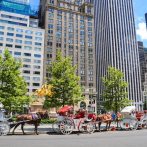 Amenaza para los carruajes tirados por caballos en Nueva York