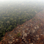La Amazonia arde en la nueva 