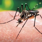 El dengue es calificado como la situación sanitaria 