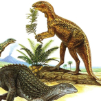 Explicación al origen de los dinosaurios con cadera de pájaro