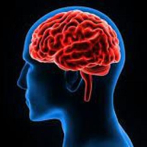 El Covid-19 aumenta el riesgo de padecer problemas cerebrales a largo plazo