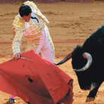 Sobre toros, tradiciones y barbarie