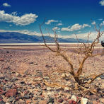 El aumento de temperaturas globales apunta a sequías generalizadas