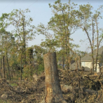 El paso de un ciclón hace más vulnerable el terreno a los incendios