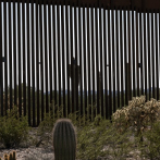 Ambientalistas de Mexico y EEUU defienden la vida animal afectada por muro fronterizo
