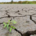 Sequía estacionaria se agudiza por escasez de lluvias