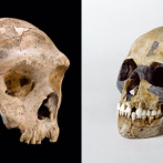 El Homo sapiens emigró a China 5,000 años antes de lo establecido por los especialistas