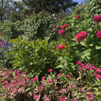 Hora de estudiar: 35 términos de jardinería que todos deberían saber