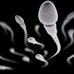 Estudio arroja hay menos esperma concentrado en todo el mundo