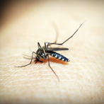 El país podría cerrar este año con 11 mil casos de dengue