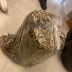 DNCD detiene a ocho personas e incauta marihuana