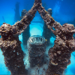 Un sepulcro marino en Miami ofrece un hábitat seguro para la fauna acuática