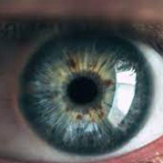 Un hospital de Nueva York logra por primera vez trasplantar un ojo entero a un paciente