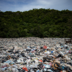 La basura, el enemigo que afecta a zonas de árboles aéreos en Ecuador Susana Madera