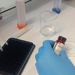 Crean test que detecta la presencia de burundanga y droga caníbal en muestras de saliva y bebidas