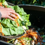 La FAO reitera que los países ricos deben asumir impacto de la sostenibilidad en los alimentos
