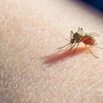 La malaria causó 619.000 muertes en 2021, un 8 % más que antes de la pandemia