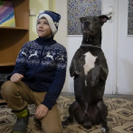 Bice, el pitbull que brinda terapia a niños traumatizados por la guerra en Ucrania